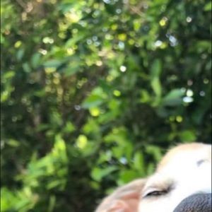 Meet your Posher, Shae